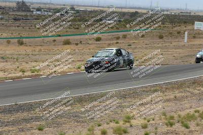 media/May-03-2025-Lucky Dog Racing (Sat) [[206de64b9d]]/Turn 6 (150pm-230pm)/